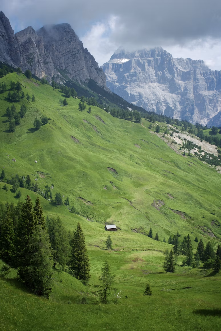 Green alpine hills